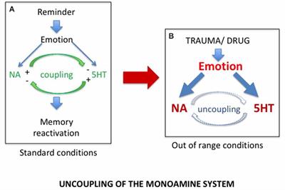 Post Traumatic Stress Disorder and Substance Use Disorder as Two Pathologies Affecting Memory Reactivation: Implications for New Therapeutic Approaches